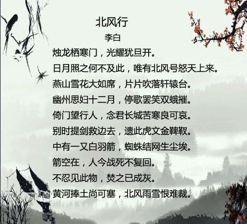 感叹古诗中冬月漫天飘雪的唯美诗句|古诗词欣赏