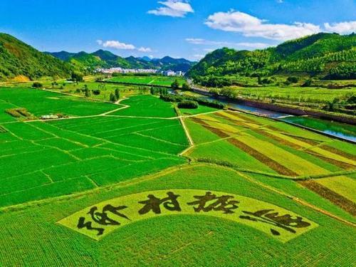 下一轮中国大发展是不是在农村。