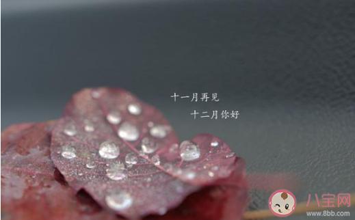 告别十一月份,迎来十二月份的好句子精选20句