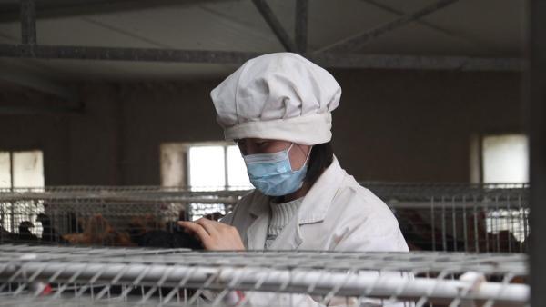 典型人物周幸欣奋斗十年我的家乡情怀