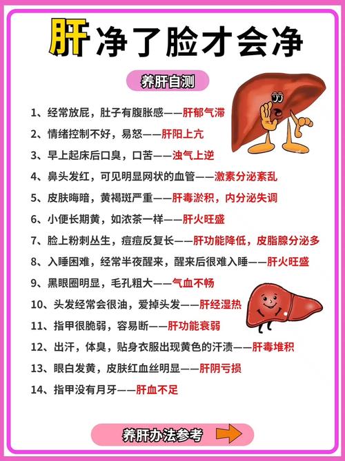 每日养生小知识