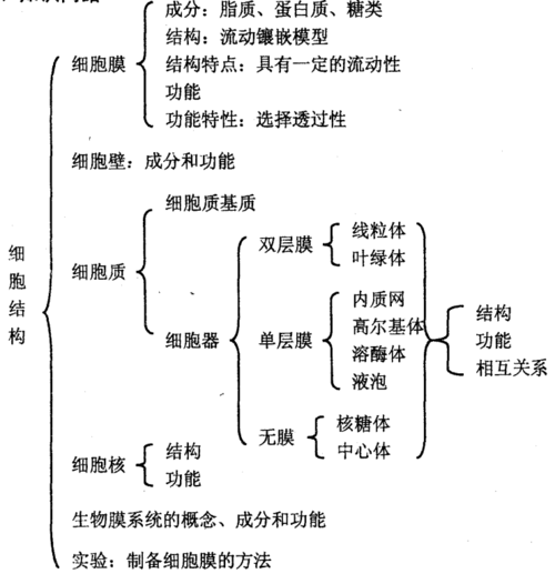 生物干货|那些重要的细胞结构图超详细