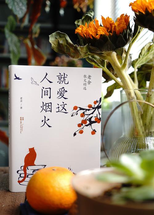 在人间烟火里感受人生温情