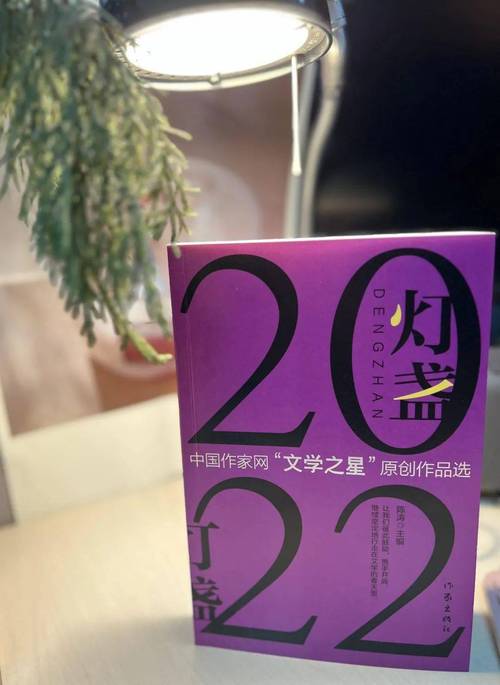 新书推荐|《灯盏2023中国作家网“文学之星”原创作品选》展现丰富多彩的时代文学之音