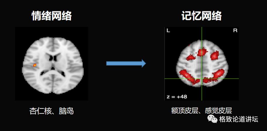 虽然乍一听很不靠谱,但看恐怖片真的可以增强你的记忆力