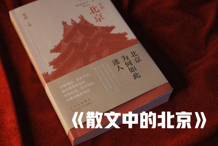 散文在北京参加泸州长江奇石展‖杨光英