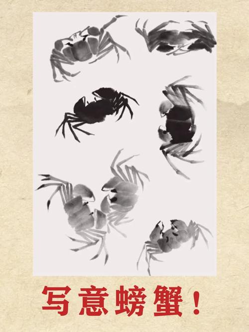 国画教程简单易学的写意螃蟹画法步骤