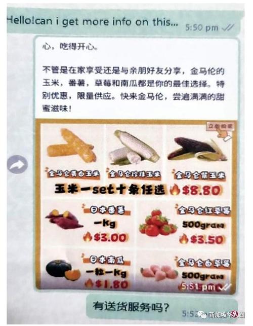 新加坡多人点击广告后,诱导下载软件付款,被骗走上百万新币