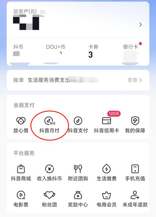小金姐姐说抖音月付怎么套出来，抖音月付怎么秒到的最新搭建方式