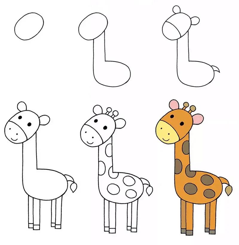 如何画出小动物。动物简单画法技巧