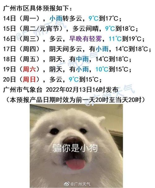 温度记-AI主播|趁晴天抓紧晾晒,周末雨水又要来了