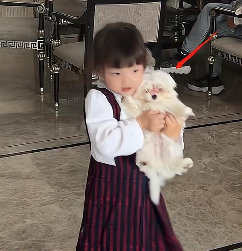 韩安冉女儿刚养死一只兔子，又对小狗下手，网友小狗眼睛都红了