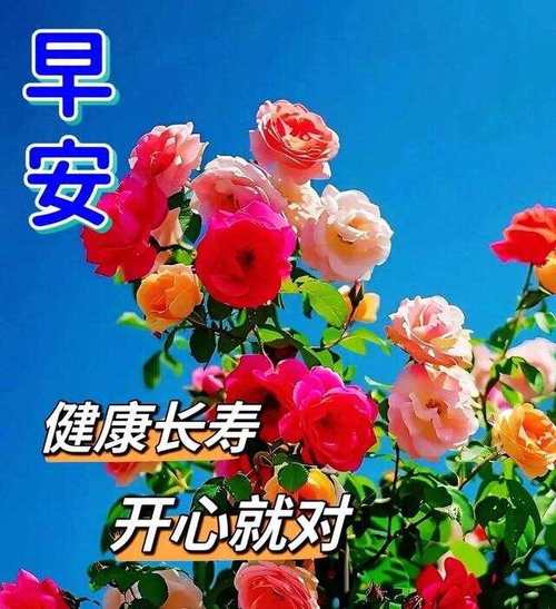 2024年5月19日初夏早安图片，优美的早安温馨祝福图片，夏日问候祝福语大全。