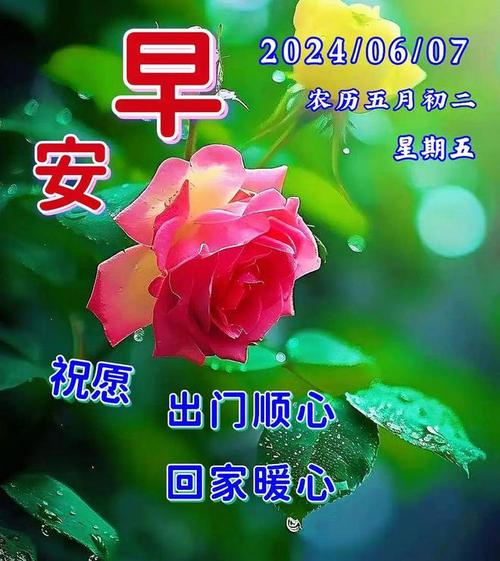 2024年6月7日早安图片,夏季天热早安图片带字推荐,定格美好瞬间,给你一天好心情