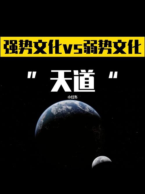 强势文化与弱势文化。