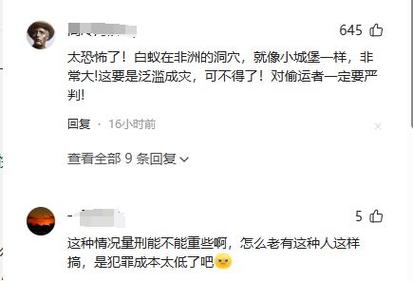 鸡皮疙瘩起来了北京大兴机场海关查获白蚁蚁后53只