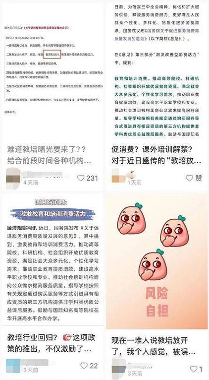 教培放开了。专家解读发展质量才是生存关键