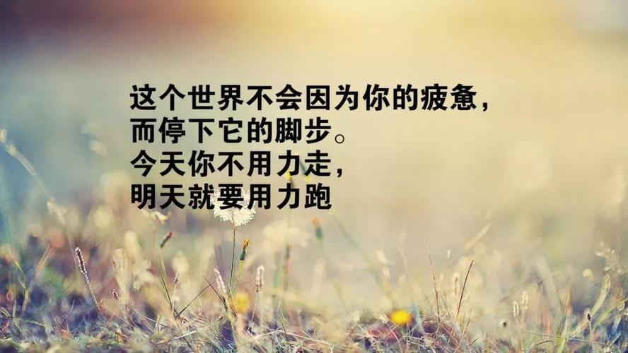 19句忍不住摘抄的经典励志正能量句子，一句顶万句