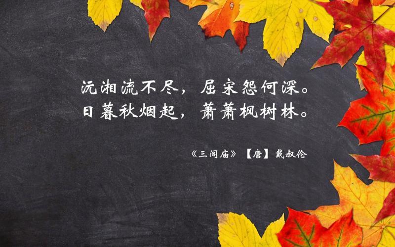 枫叶之美优美句子的艺术