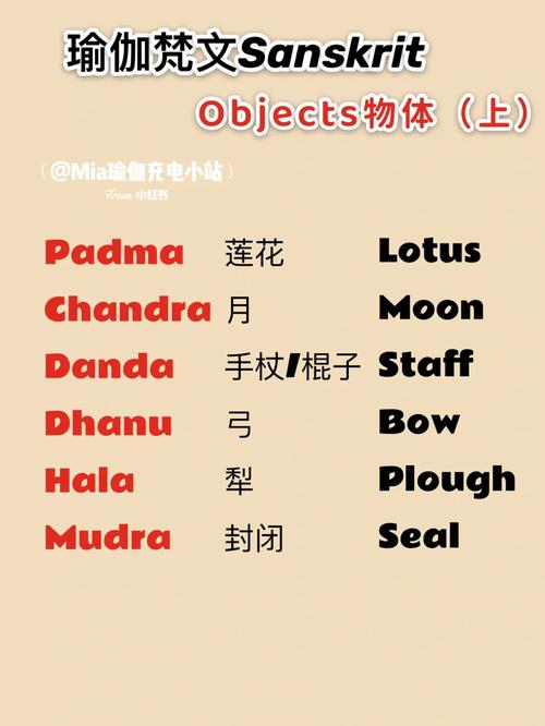 寻物|原来这些我们常用的词语都是梵文