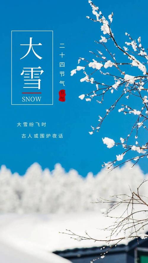 文案日24节气大雪文案分享心向暖阳,美好如常
