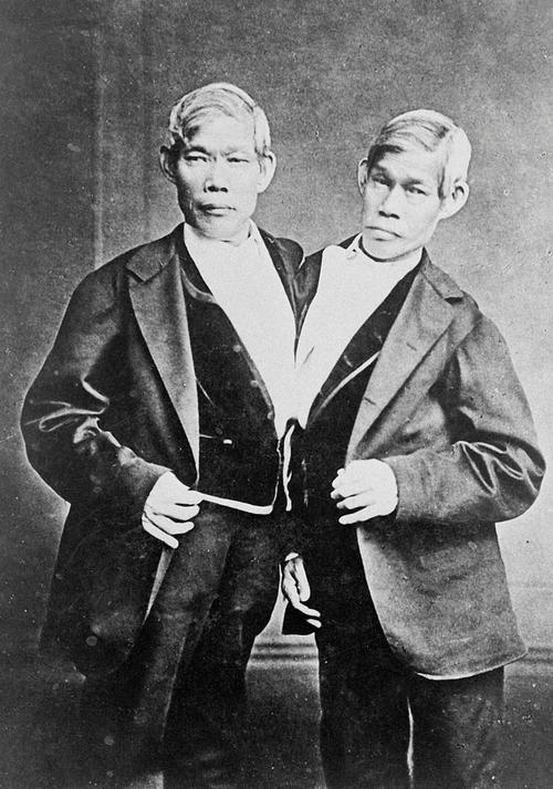 最近流行的「连体人」视频，到底是什么鬼。