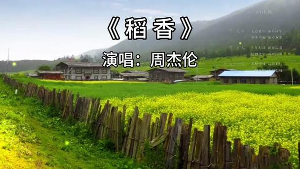 视频|稻香里,听音乐