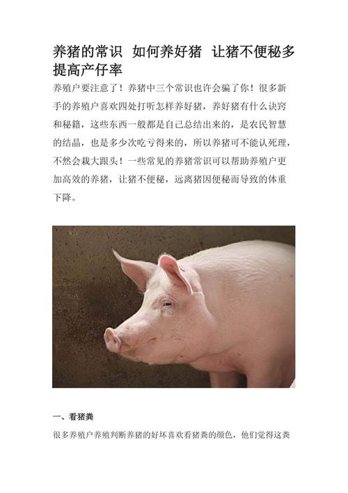 养猪的基本常识，养殖人早都知道了