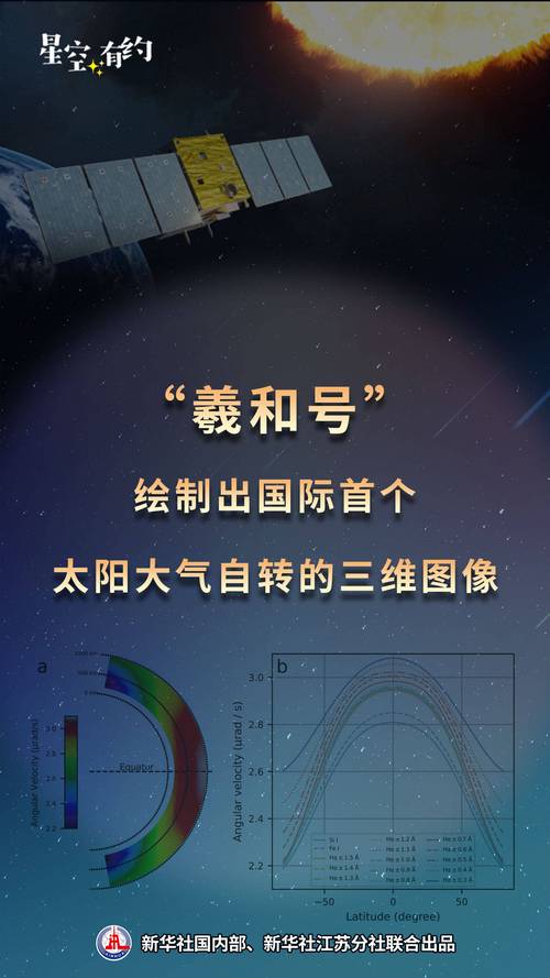 追寻同一个太阳丨图片