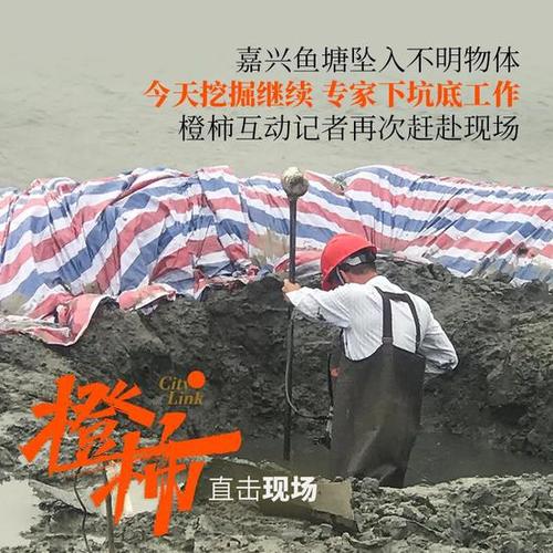 不明物体坠落鱼塘,改变了他们一家的日常嘉善王师傅说,他现在只关注两件事