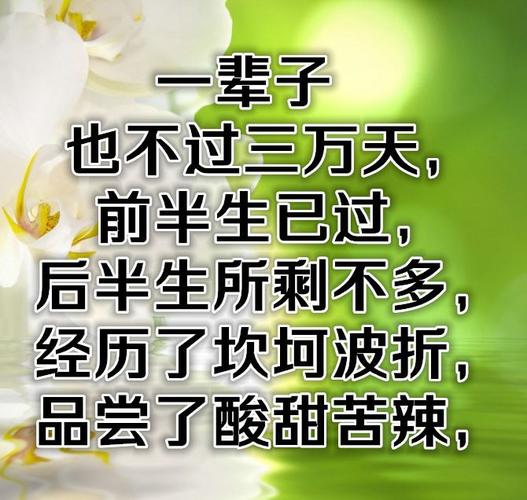 人这一辈子，到底图个啥呢精辟