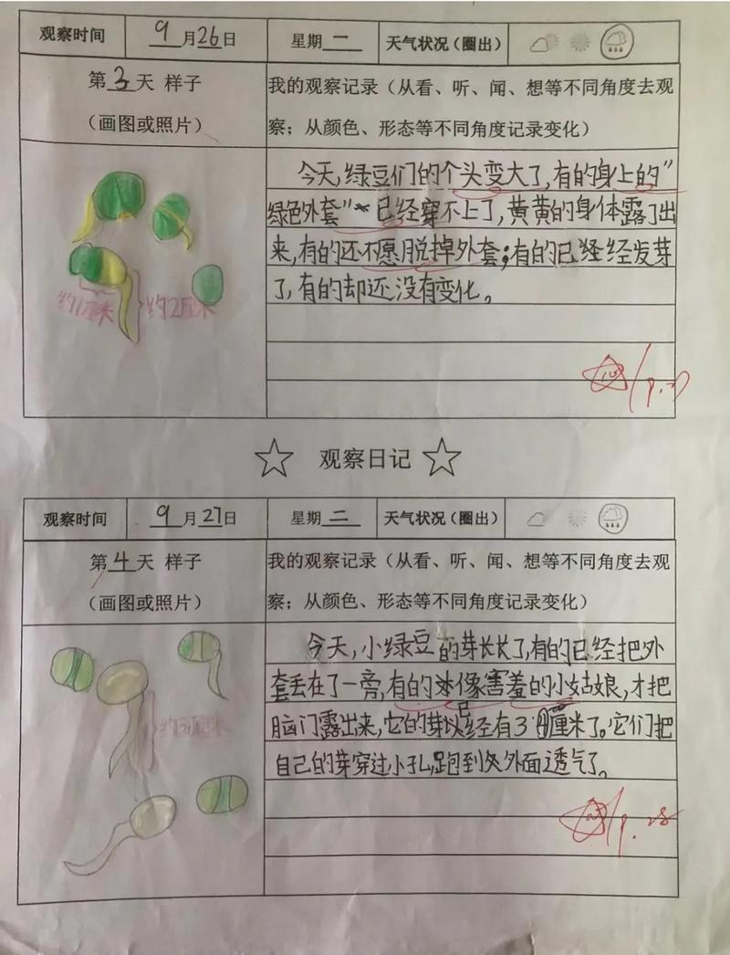 开心一刻儿子学校老师让我观察植物生长过程，还要写观察记录