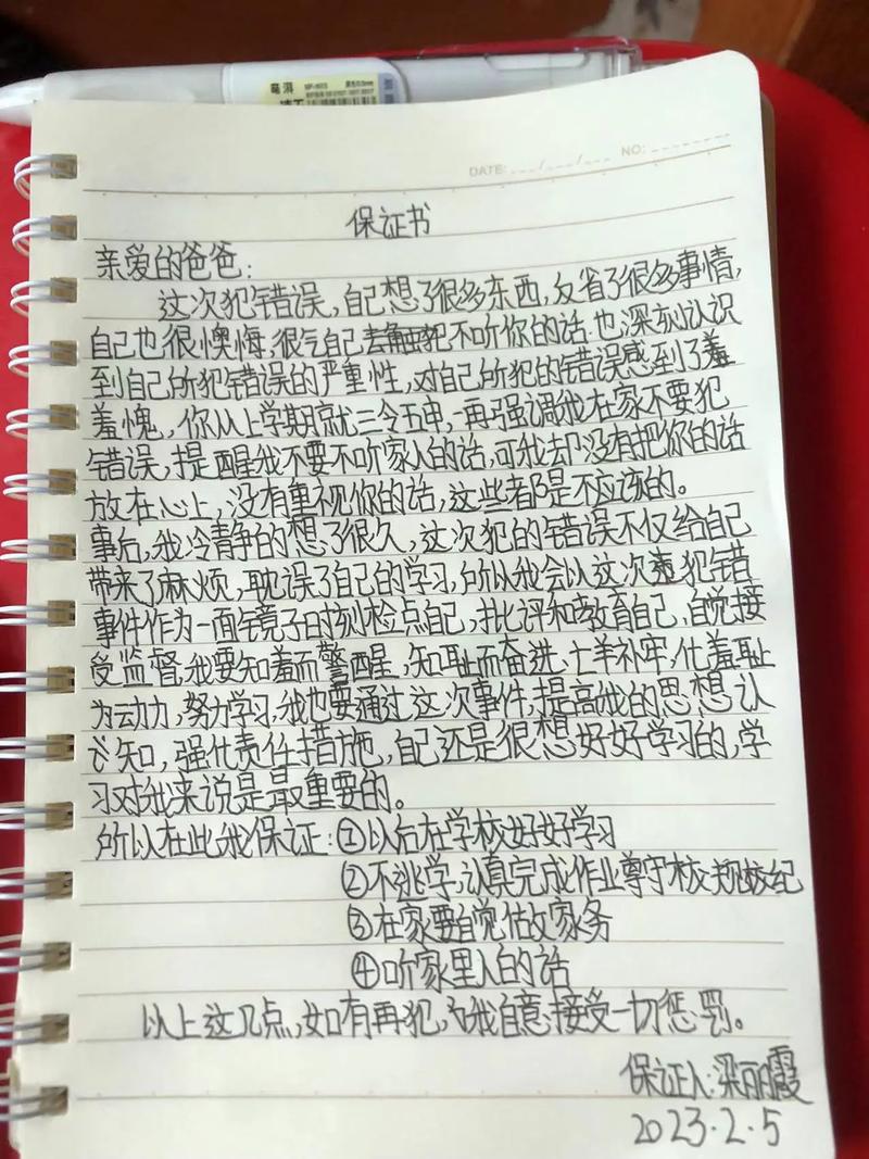 街头公然掳人写个保证书了事，保证书这么管用还要法律干啥。