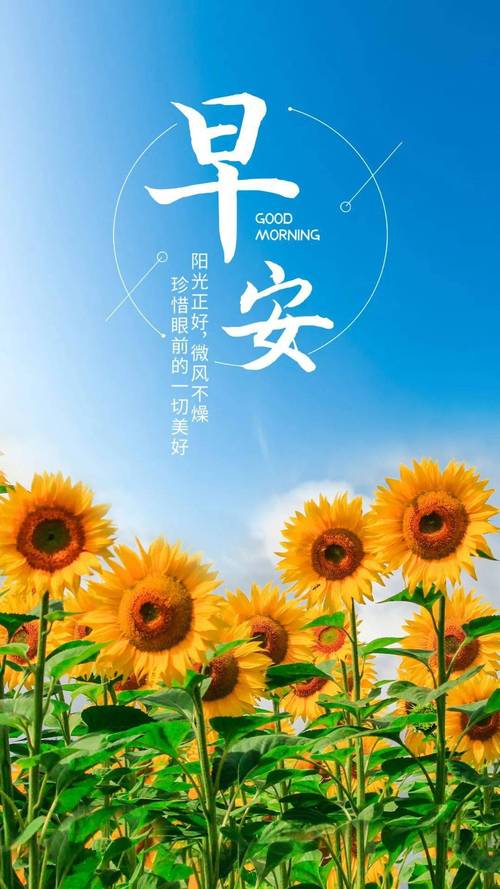元气满满的朋友圈早安文案，句句正能量