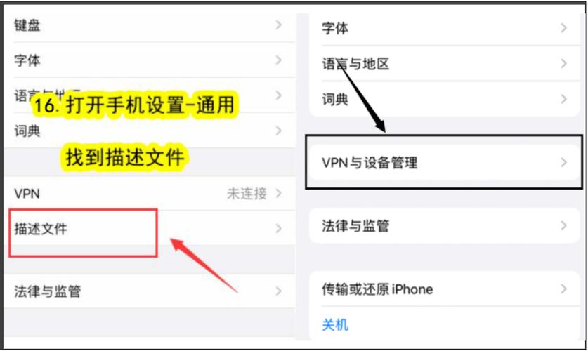 Tiktok国际版苹果手机怎么下载使用。教程来了