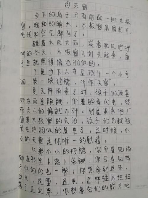 学习单《天窗》小练笔+优秀例文四年级下册共享