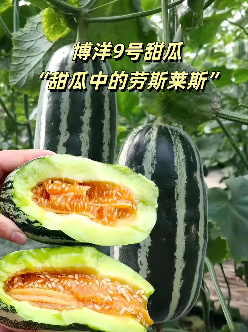 今年最火的瓜，又有新爆料了