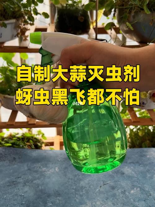 用大蒜和辣椒自制有机杀虫剂，让害虫远离家里的植物