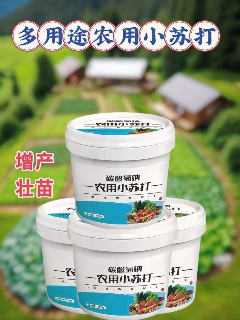 “小苏打”的妙用用来种蔬菜防虫、防病又增产，家家必备