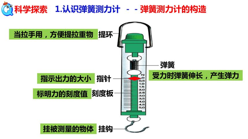 四年级上《弹簧测力计》︱科学鱼网课