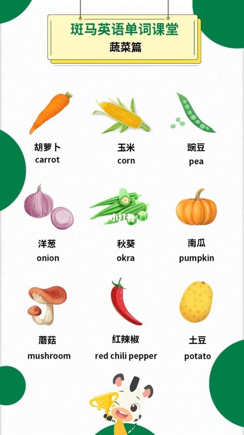 不凭空想象,图文并茂描述英语中常见的蔬菜单词