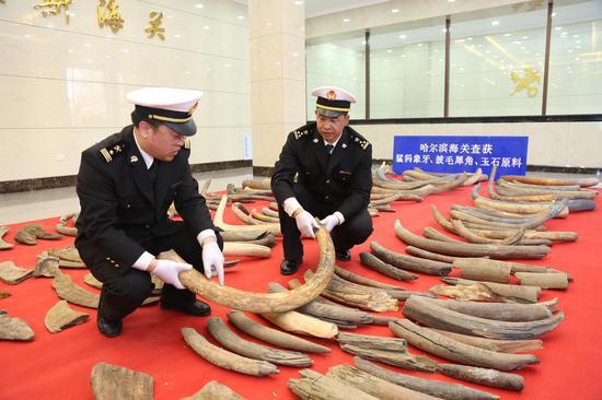 猛犸象牙可以过海关吗。