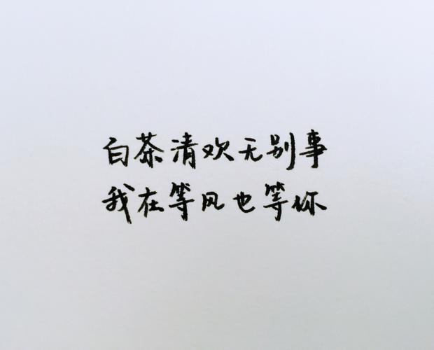 16句“表白必备”的古风句子白茶清欢无别事，我在等风也等你