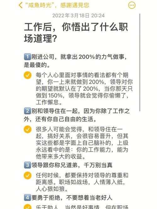 工作后,你懂得了什么