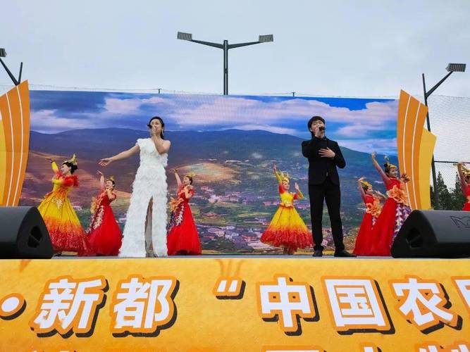 上音统战人奏响丰收喜乐,歌颂祖国盛景