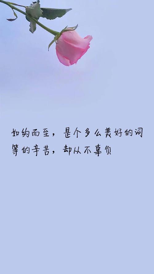 深夜治愈系走心句子,温柔气质,句句勉励自己,受益良多