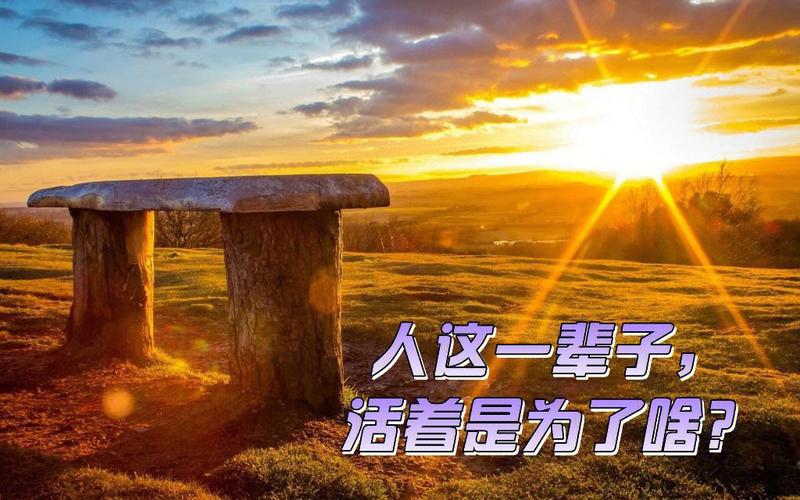 疾病活着痛苦以及我们这一生