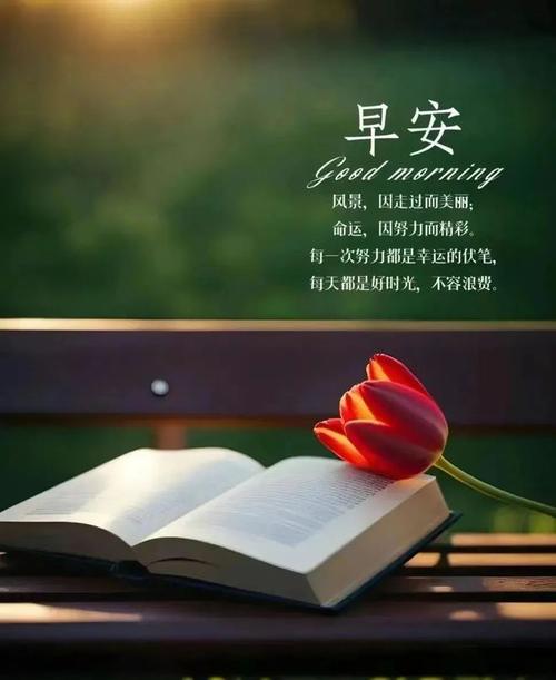 朋友圈最暖心早安句子