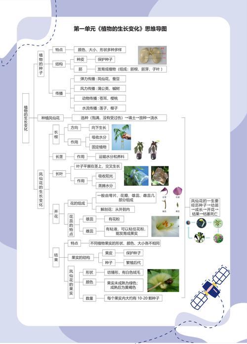 教科版科学四年级下册单元知识点图文版