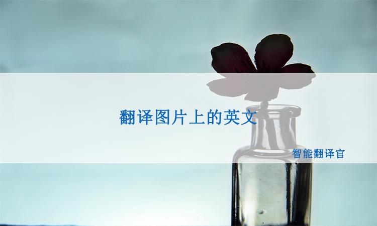 逛英文论坛,怎么翻译图片上的英文。